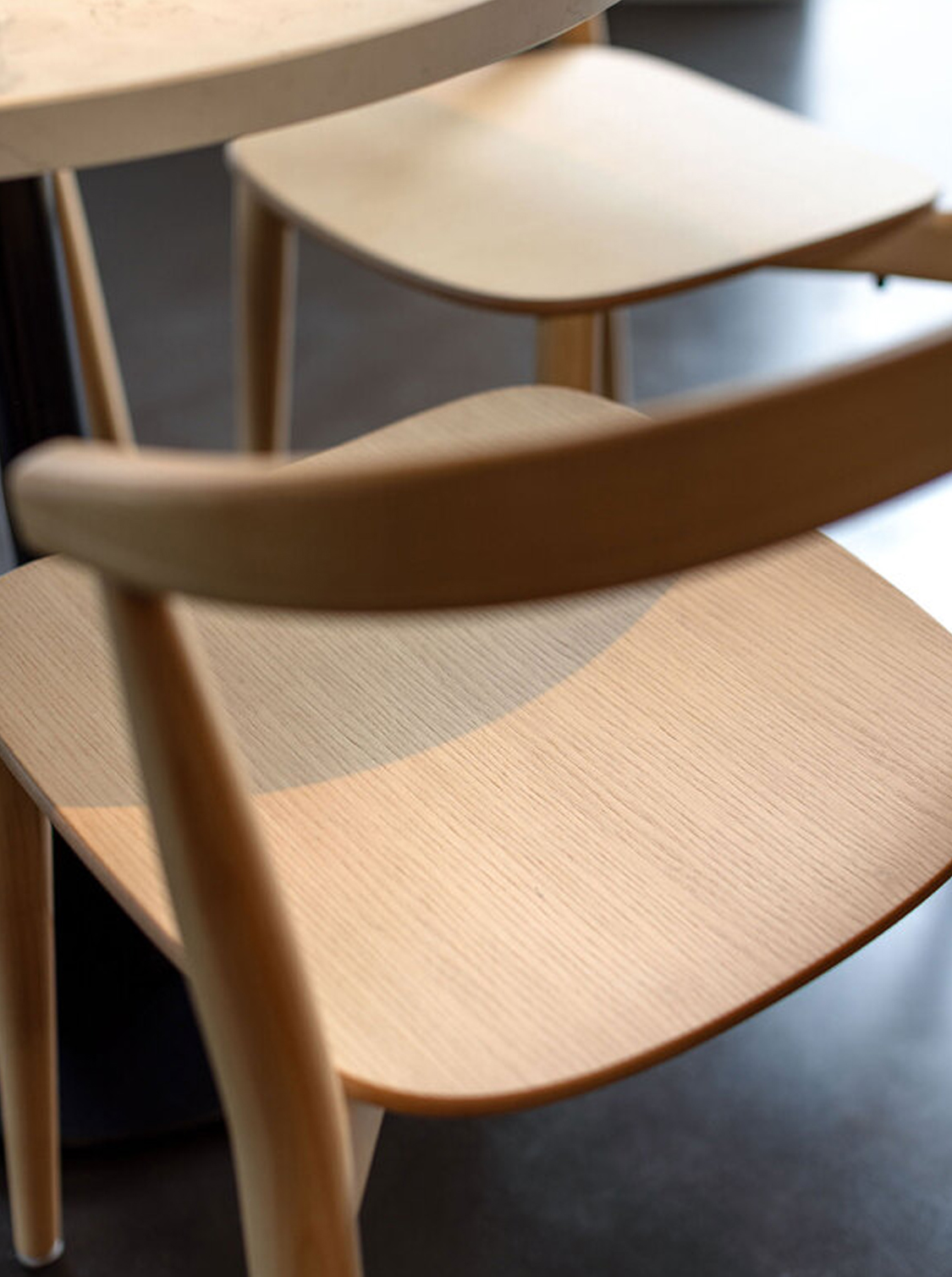 Cappellini_ BrogliatoTraverso_ Newood Light_ Winery & Wine Shop Mionetto