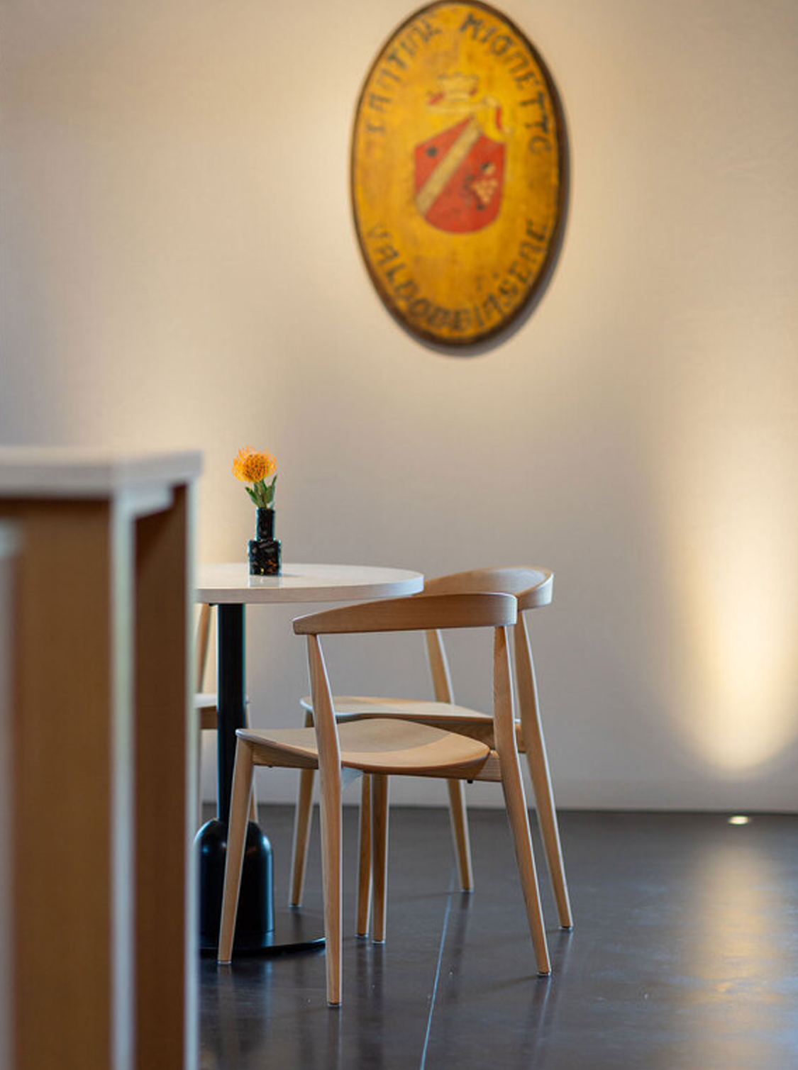 Cappellini_ BrogliatoTraverso_ Newood Light_ Winery & Wine Shop Mionetto